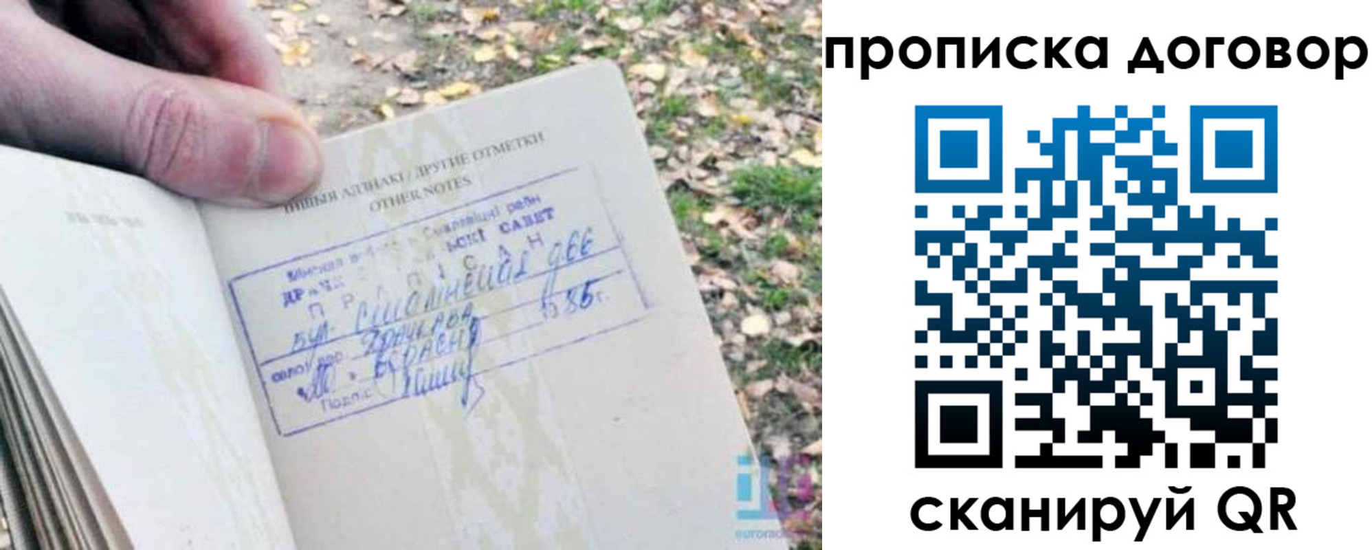 временная регистрация собственник в Полярном